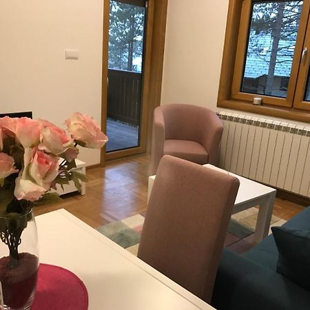 Zlatibor Apartmani Jakovljevic 外观 照片