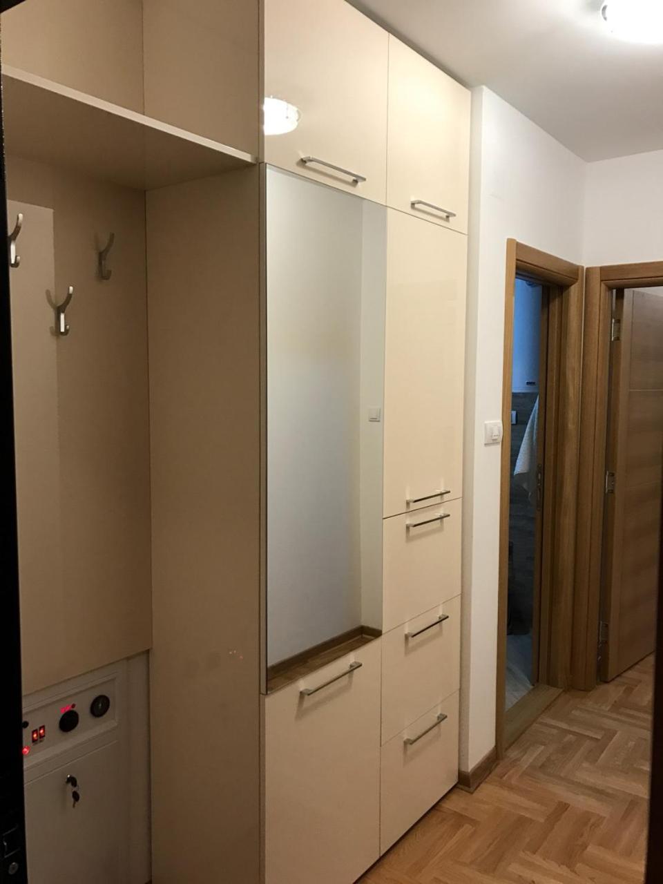 Zlatibor Apartmani Jakovljevic 外观 照片