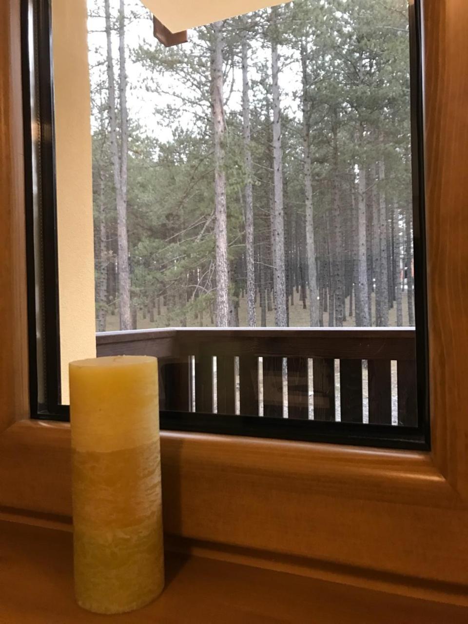 Zlatibor Apartmani Jakovljevic 外观 照片