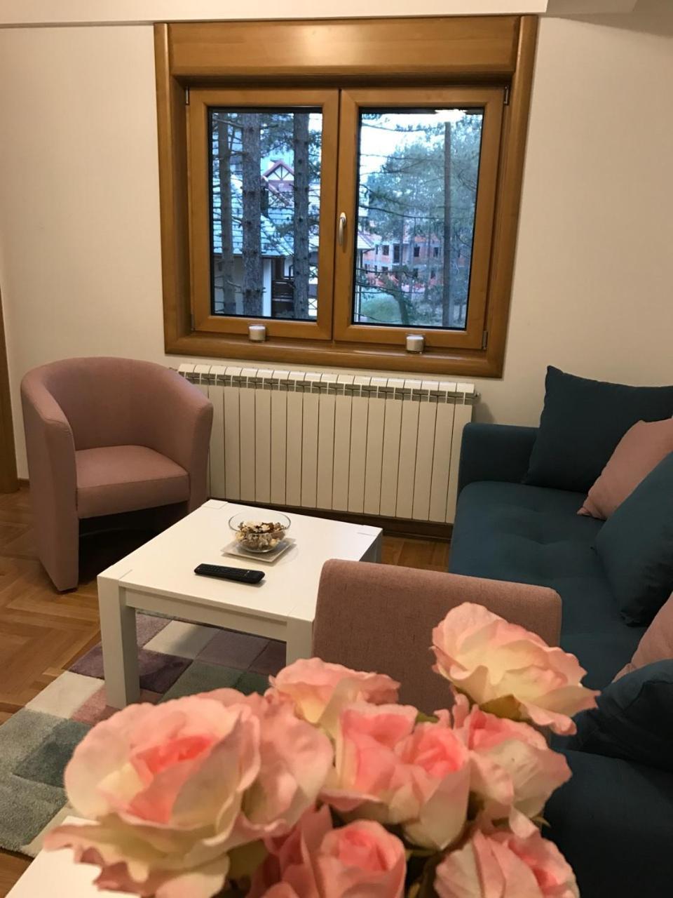Zlatibor Apartmani Jakovljevic 外观 照片