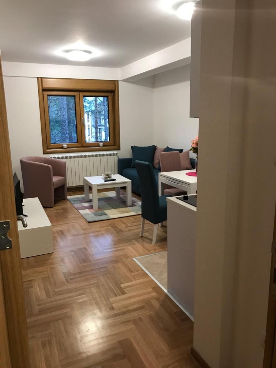 Zlatibor Apartmani Jakovljevic 外观 照片