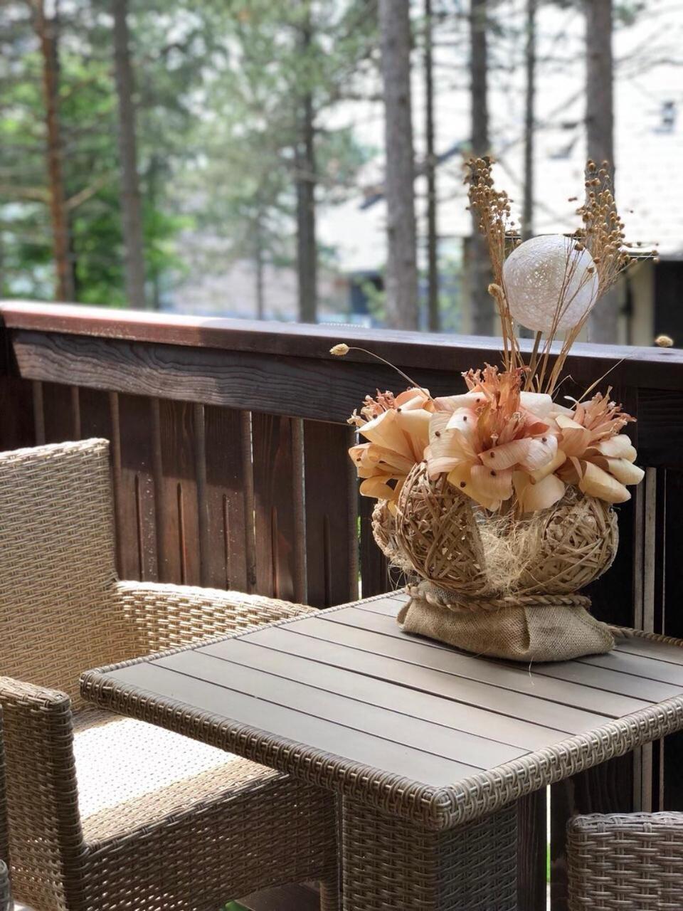 Zlatibor Apartmani Jakovljevic 外观 照片