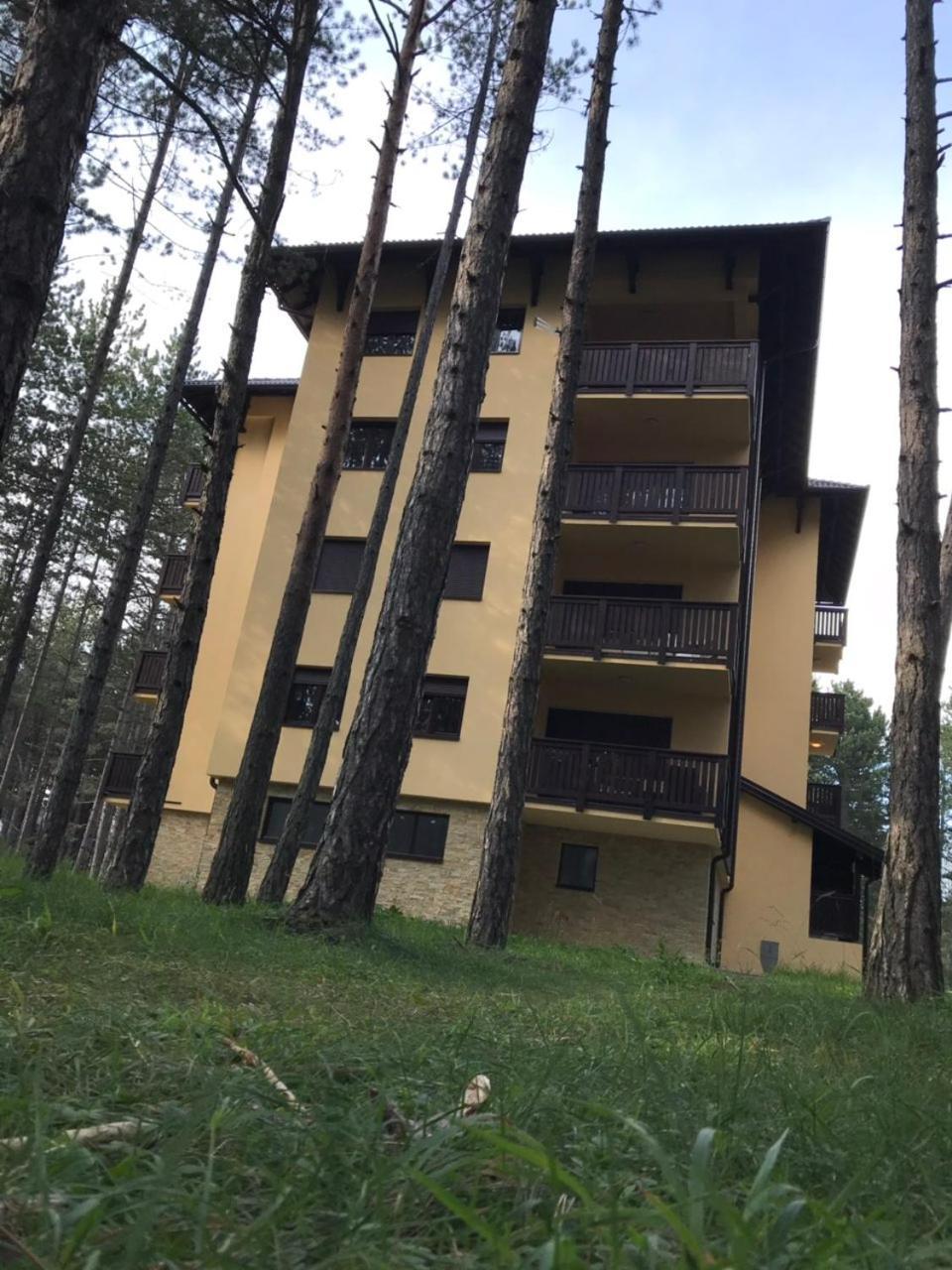 Zlatibor Apartmani Jakovljevic 外观 照片