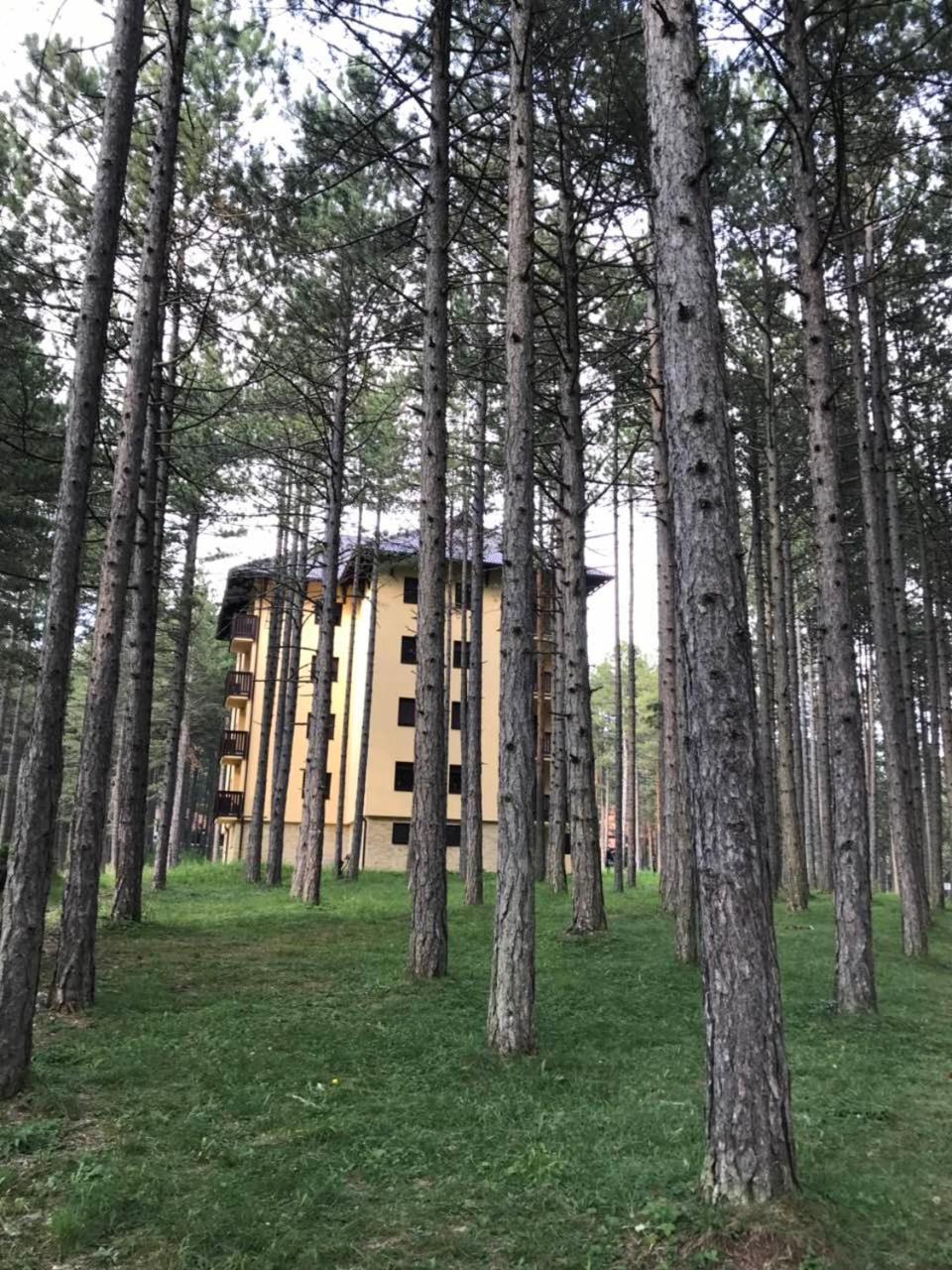 Zlatibor Apartmani Jakovljevic 外观 照片